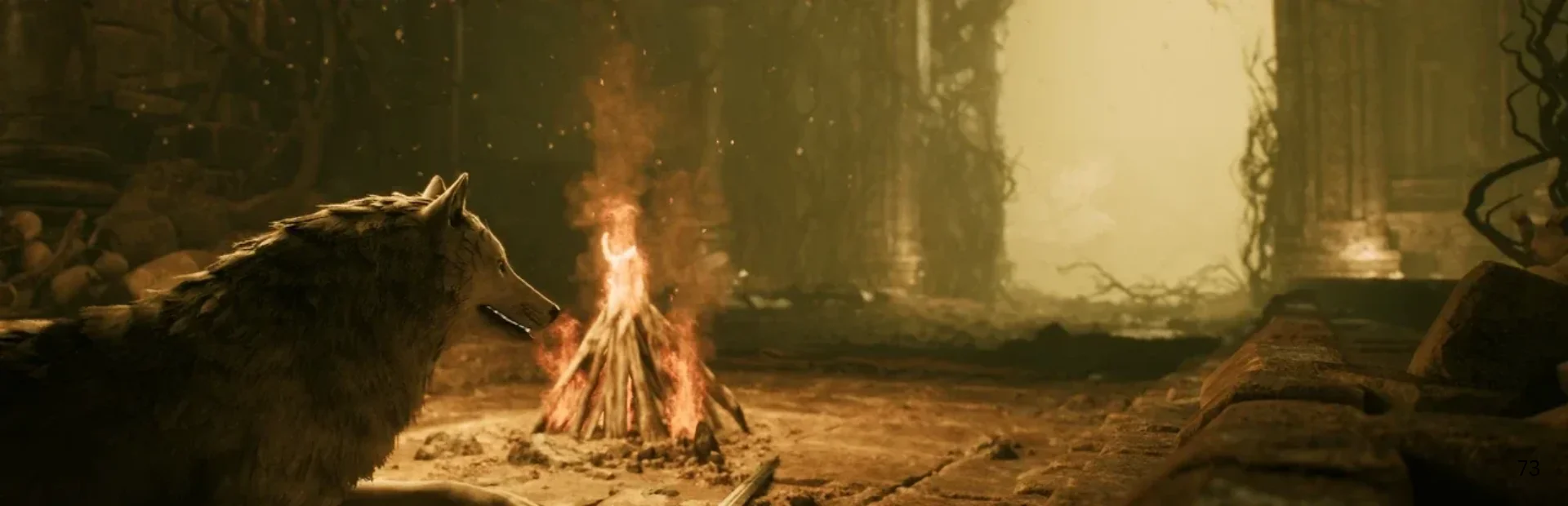 New Steam Game Is Like Dark Souls, Except You Play as a Dog